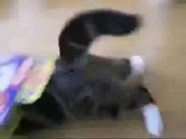 320x240
