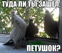 570x492