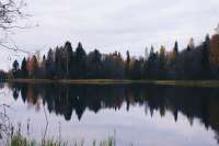 1275x850