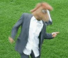 260