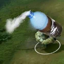 320x320