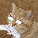 34