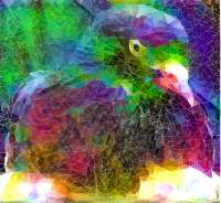 625x576