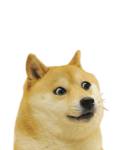 400x527