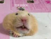 990x761