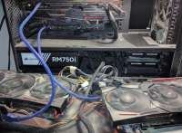 1216x895
