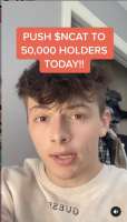 684x1198