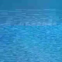 320x320