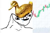 1000x667