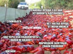960x720
