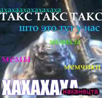 600x579