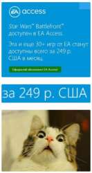 296x556