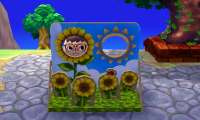 800x480