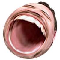 900x900