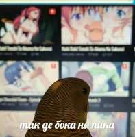 713x722