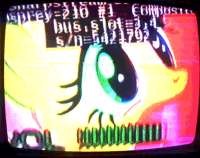 400x317