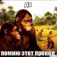 461x461