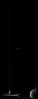 600x1546