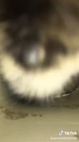 360x640