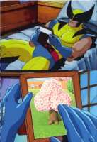 588x855