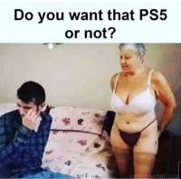 960x946