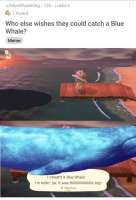 500x730