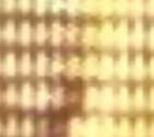 141x126
