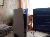 1280x960