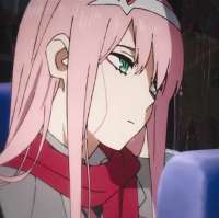 736x735