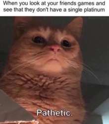 360x408