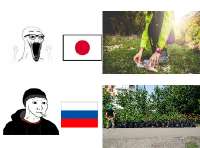 460x342