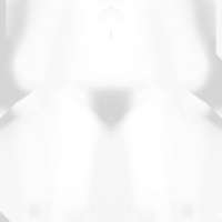 256x256