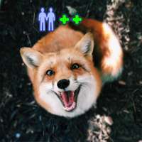 1080x1080