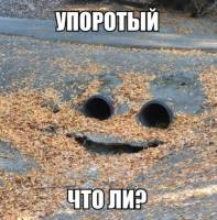 101