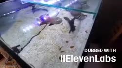 400x224