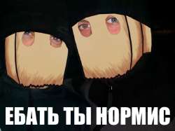 604x453