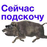 512x512