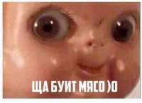 500x365