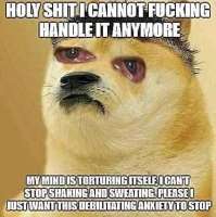 430x431