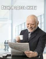 390x493
