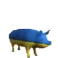 480x480