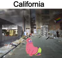 386x360