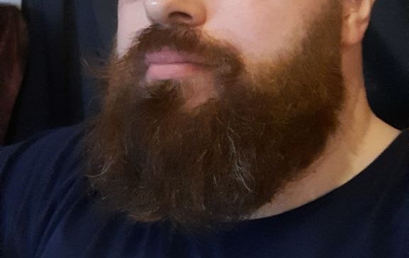 576x364