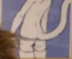 278x228