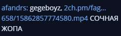 244x73
