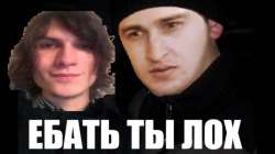 1131x636