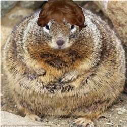 400x400