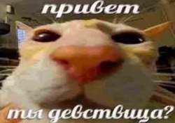 1080x768
