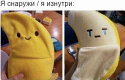 1194x768