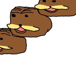 800x600